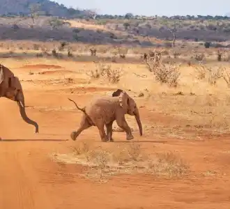 Africa Centrale