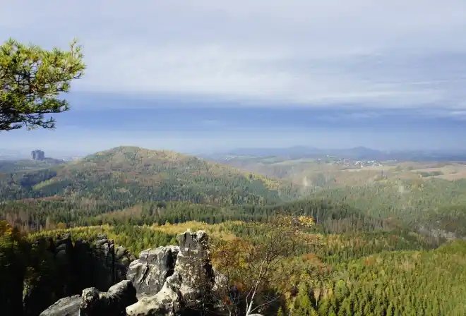 autunno sassonia natura germania