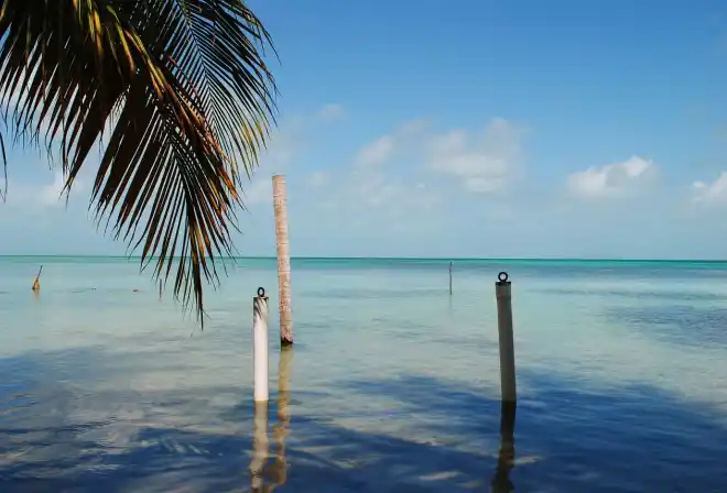 belize caulker caye ambra grigia 3