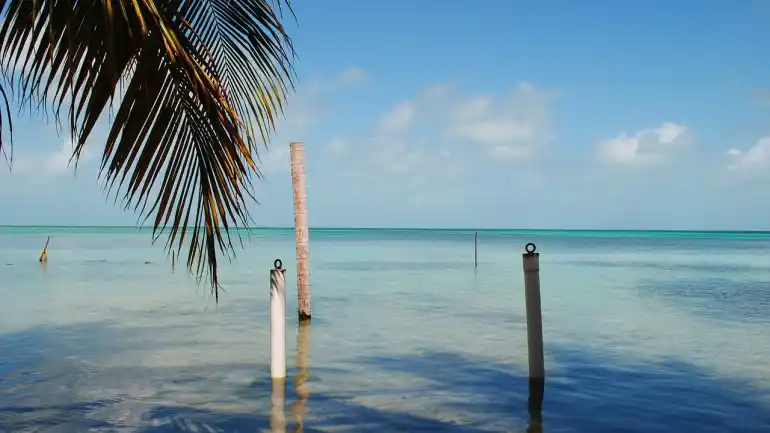 belize caulker caye ambra grigia 3