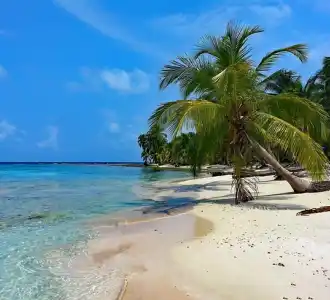 Caraibi