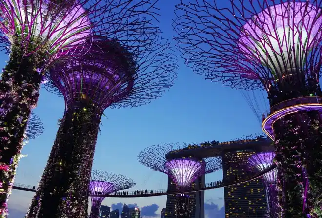 giardino sulla baia singapore notte 4