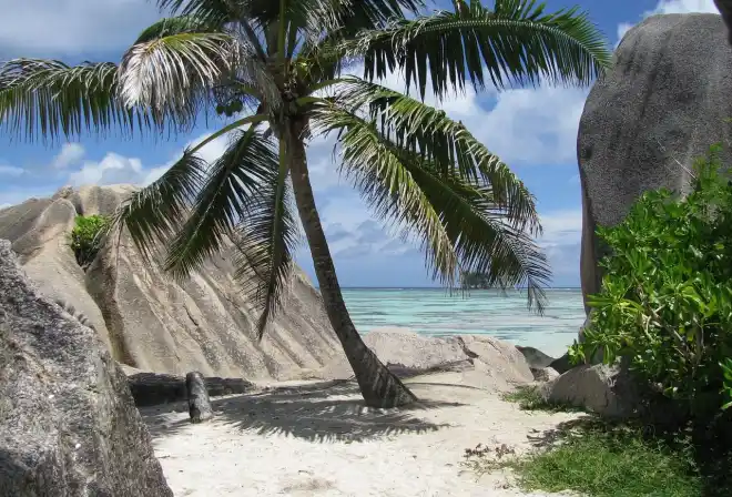 palma seychelles la digue mare
