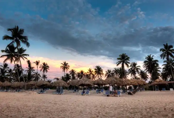 spiaggia tropicale palme sandy