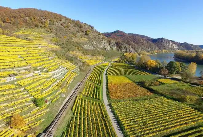 valle del reno superiore vigneti