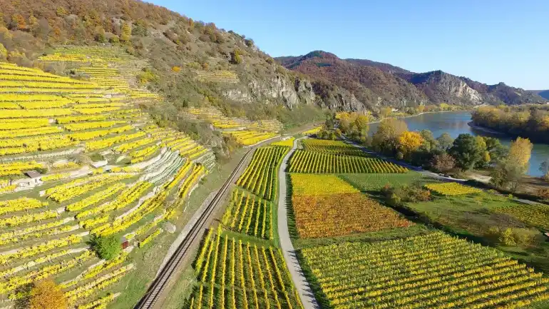 valle del reno superiore vigneti