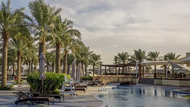 bahrein palma albero piscina arab