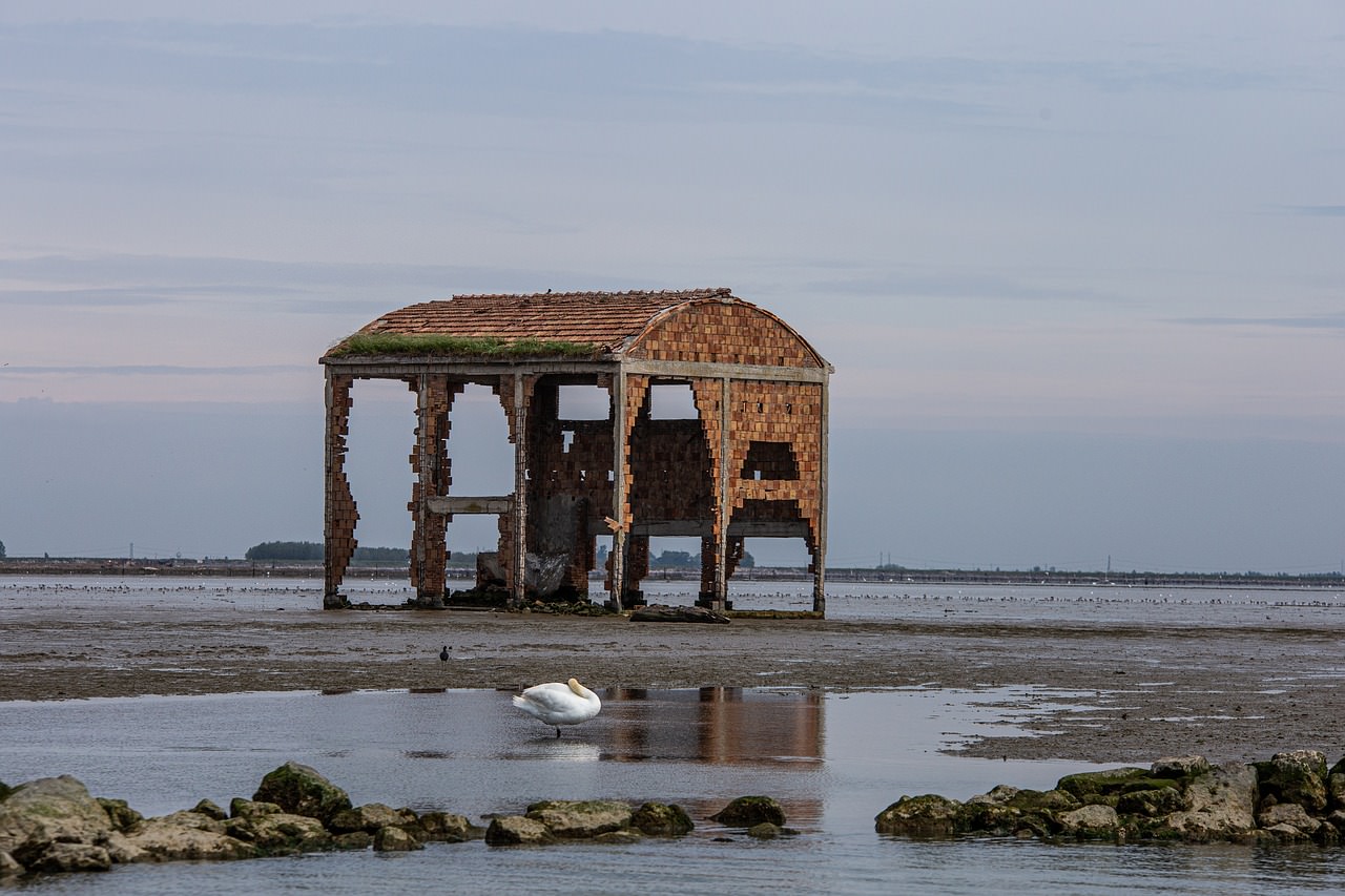 comacchio natura ferrara rovigo