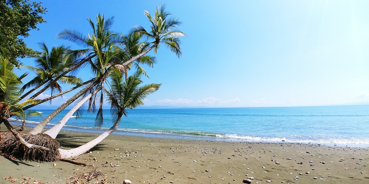 costa rica impianto spiaggia palma