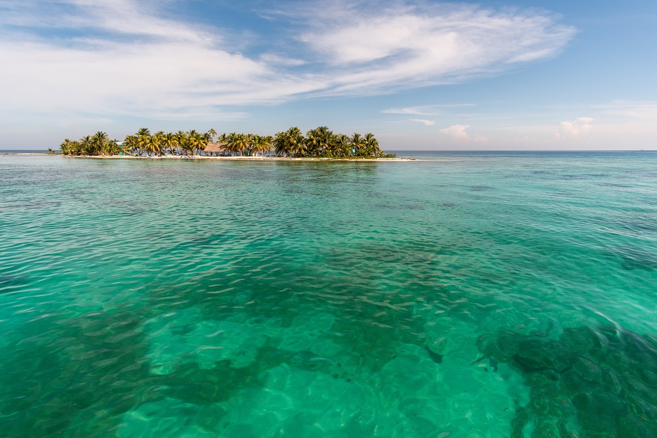 laughing bird caye coral 1