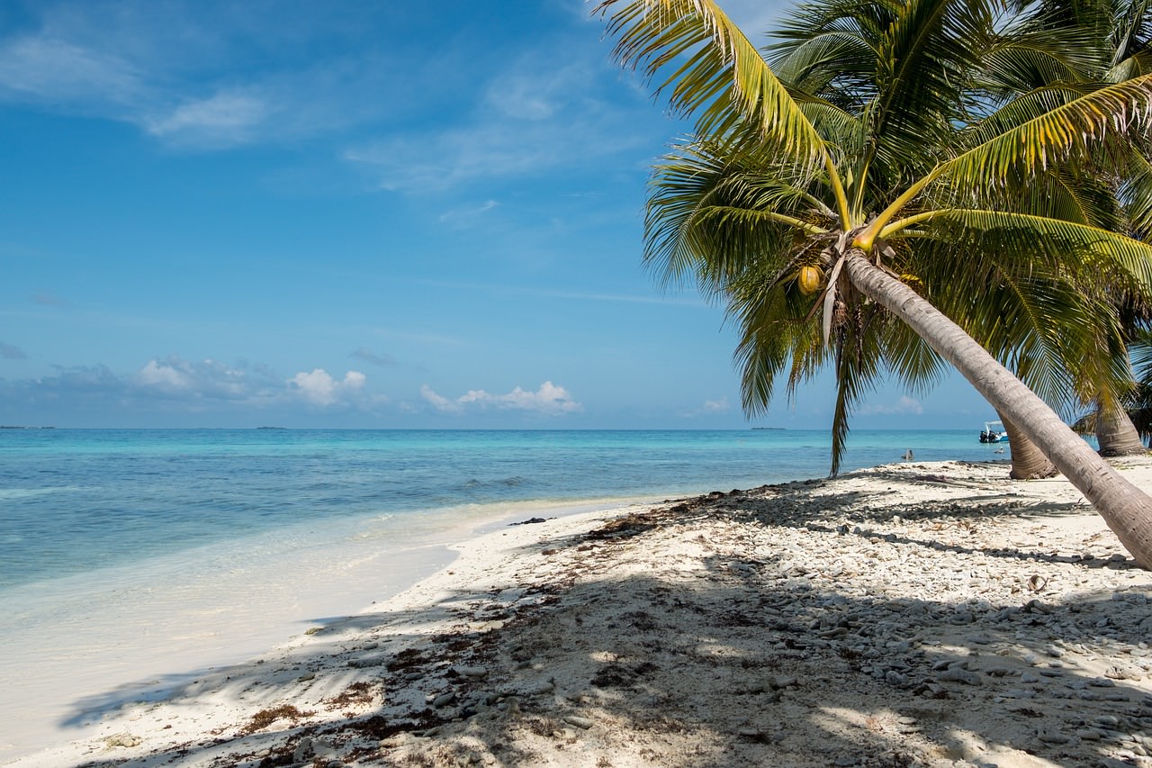 laughing bird caye paradiso beach 1