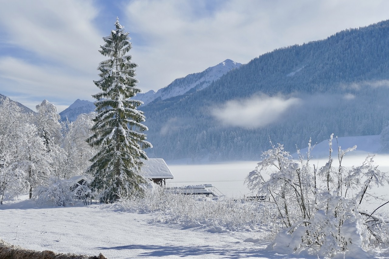 nevicare inverno freddo gelo