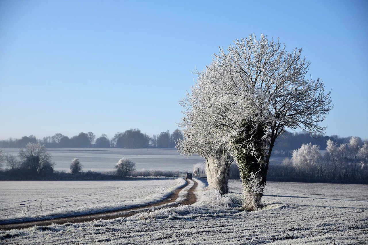 paesaggi normandia francia campo