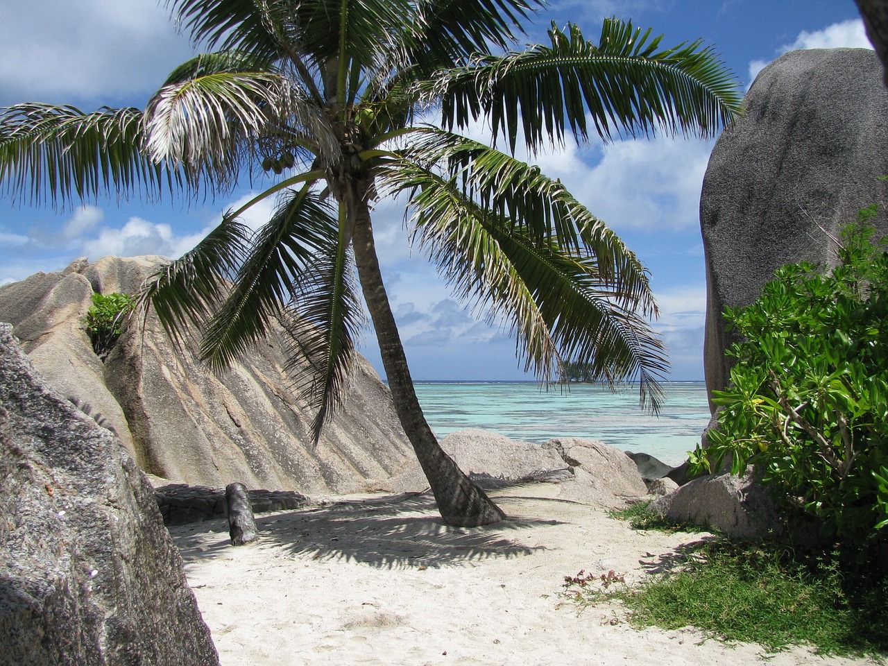 palma seychelles la digue mare