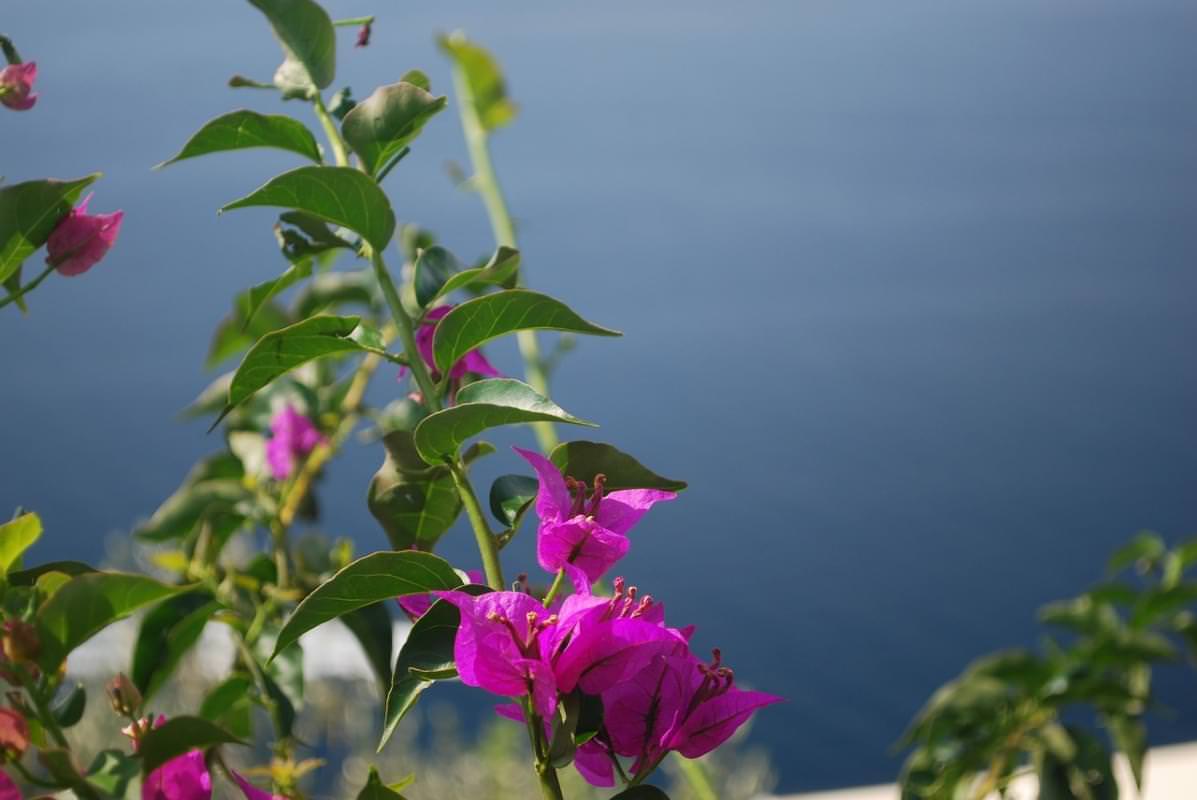 positano mar mediterraneo