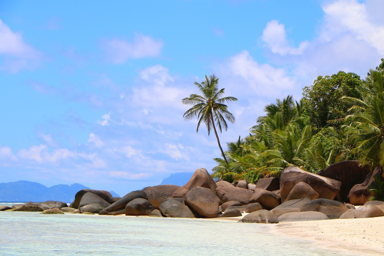 spiaggia seychelles tropicale 1