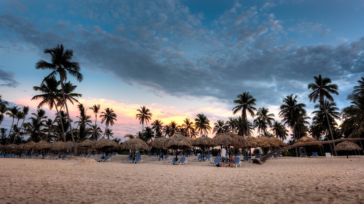 spiaggia tropicale palme sandy