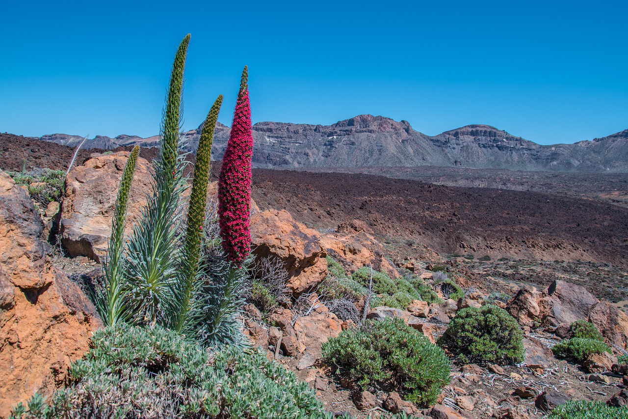 tenerife parco nazionale del teide