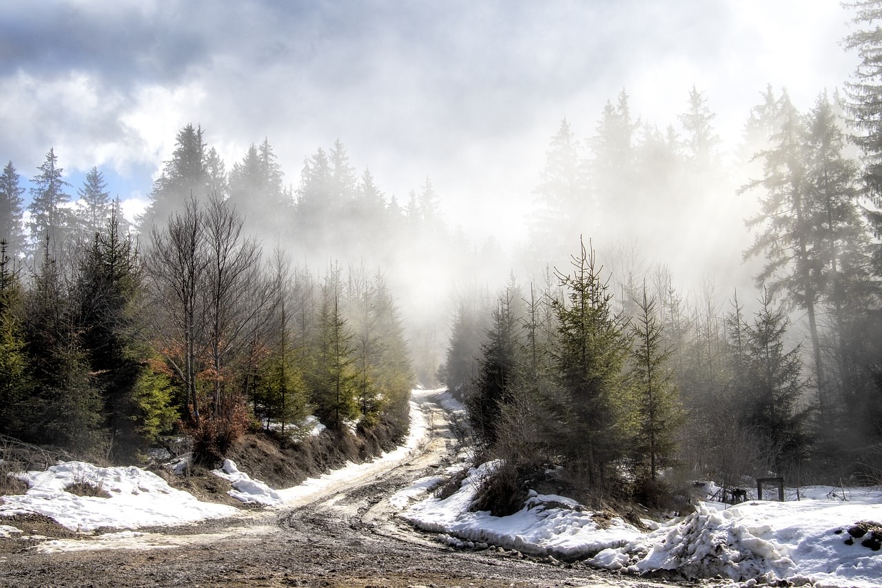 transilvania nebbia romania