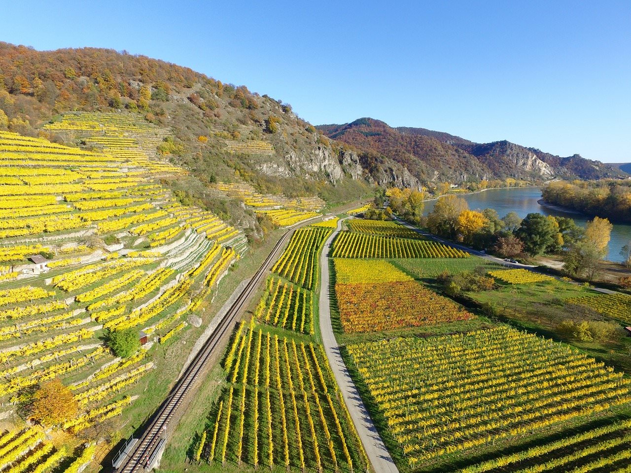 valle del reno superiore vigneti